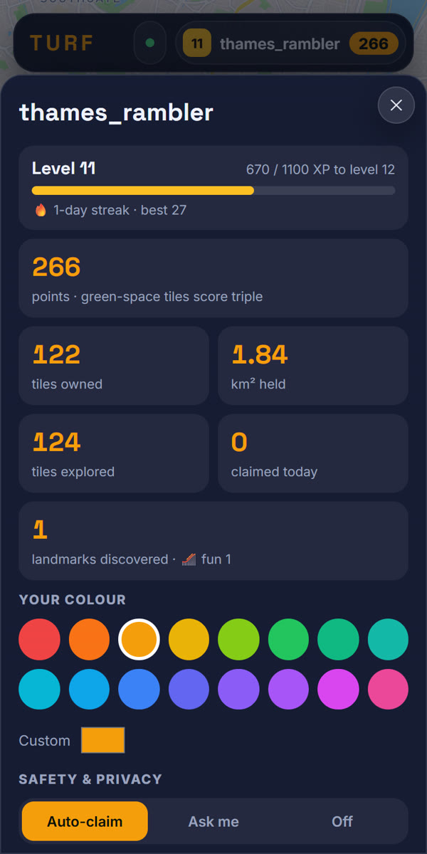 Your profile: level, XP bar, tiles owned, square kilometres held